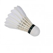 Shuttlecock (0)